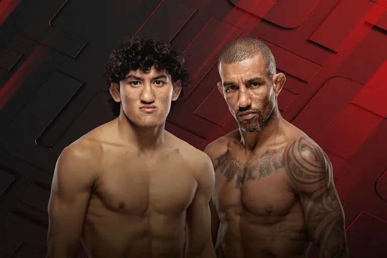 UFC Fight Night 289